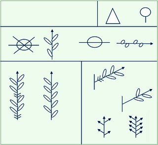 Pictograms used for axis morphological patterns