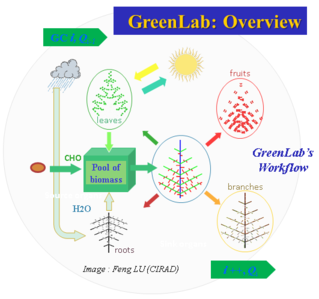 GreenLab Overview 