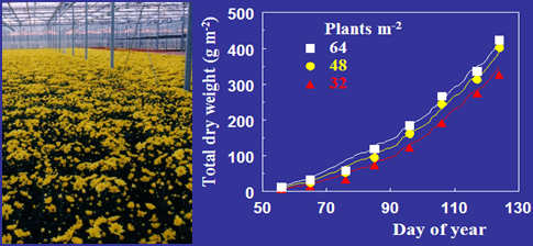 Density effect at crop level