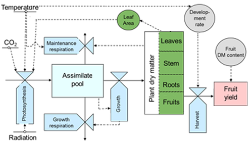 A mechanistic model scheme