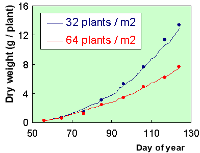 Density effect at plant level